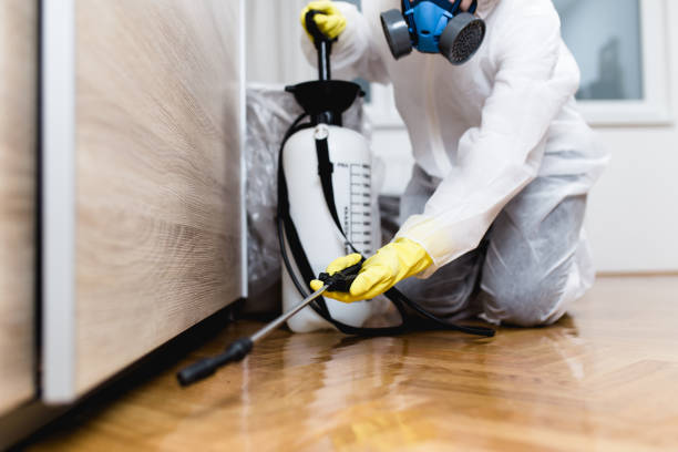 Best Residential Pest Control  in Woodburn, VA