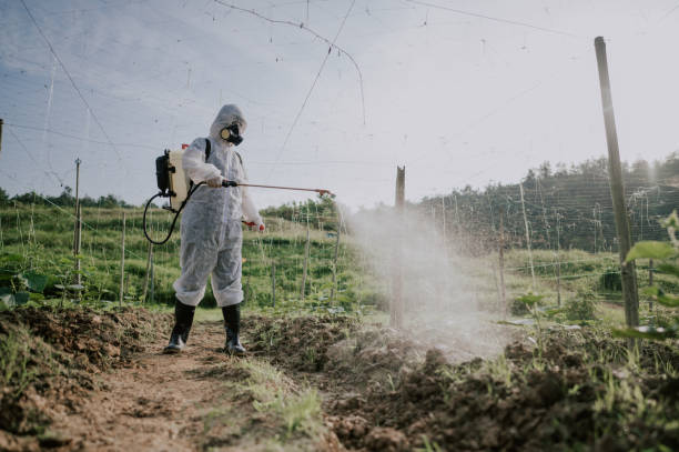 Best Commercial Pest Control Services  in Woodburn, VA