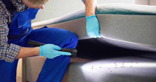 Pest Control Cost in Woodburn, VA