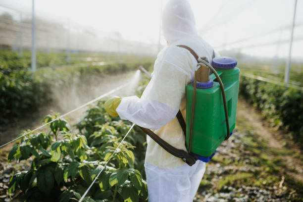 Best Pest Removal Services  in Woodburn, VA
